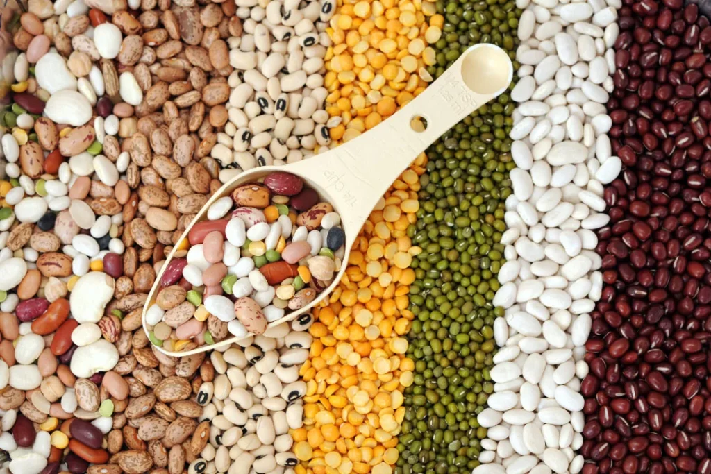 Different types pf beans. 