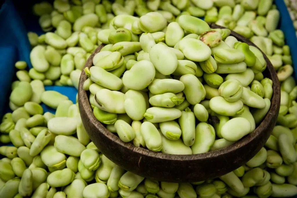 Beans rich in protein. 