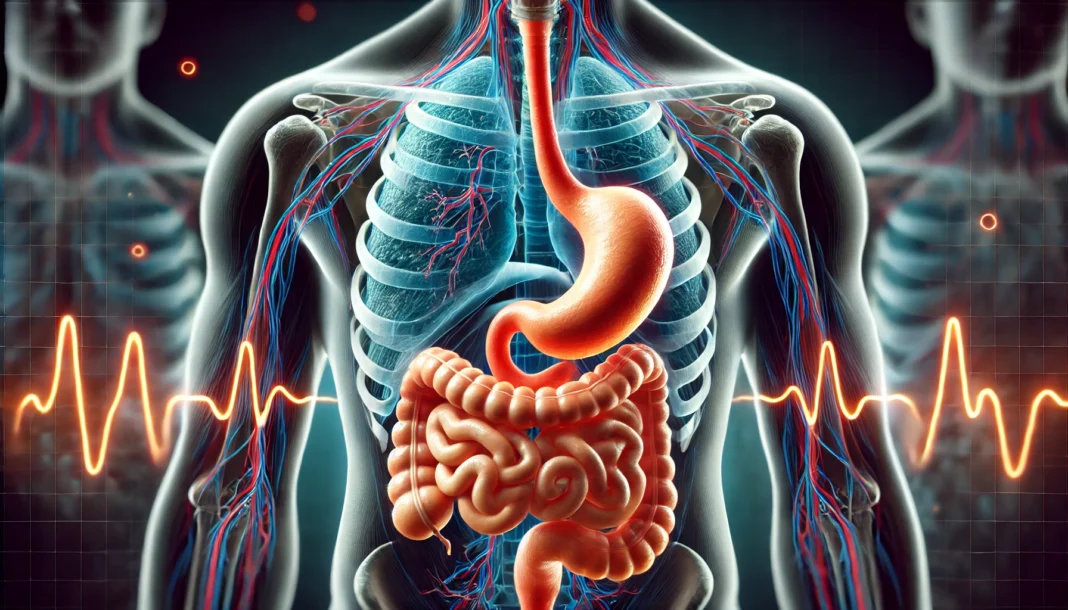 Anatomical 3D rendering of upper digestive tract showing stomach, esophagus, and duodenum