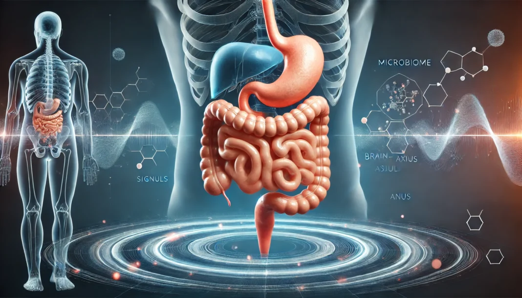 3D rendering of full gastrointestinal system illustrating what is a gastrointestinal condition