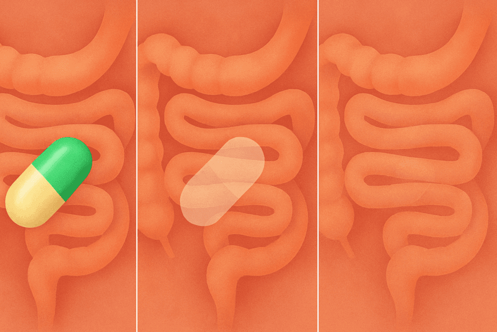 Conceptual illustration showing how long does a probiotic stay in your system over three weeks, with a capsule gradually fading along a stylized digestive tract