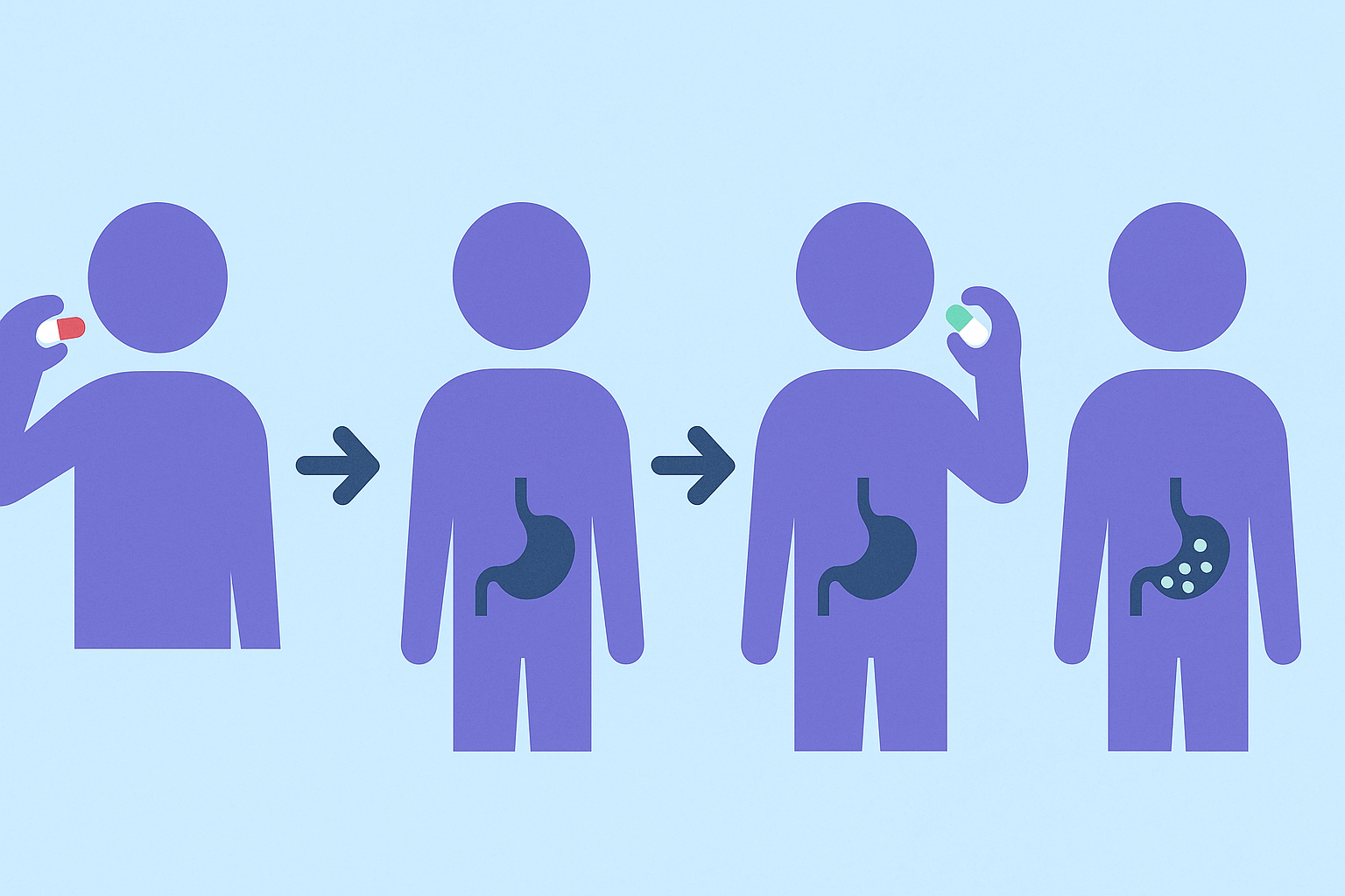Step-by-step diagram showing when to take the best probiotic for antibiotics, with human figures and capsule icons indicating digestive timing.